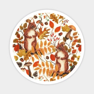 Autumn squirrels and autumnal flora on off white Magnet